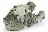 Blue Bladed Barite on Marcasite - Morocco #261662-1